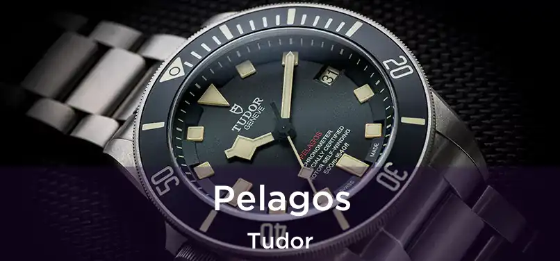 Pelagos Tudor