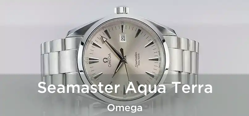  Seamaster Aqua Terra Omega
